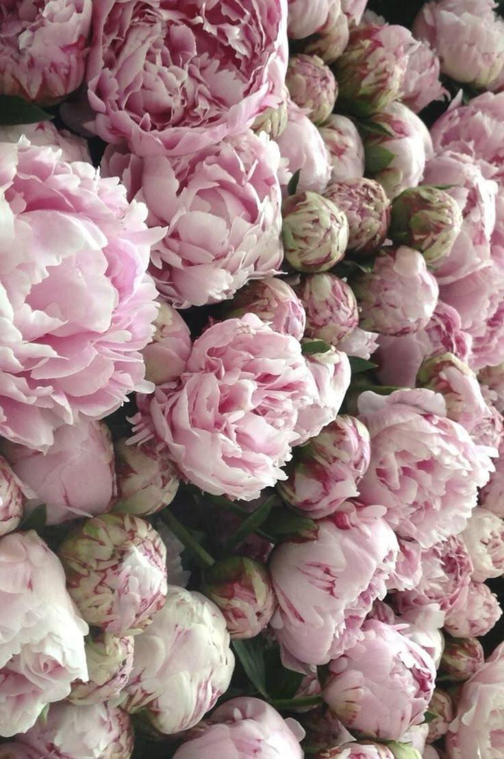 Distributed Logic Structure workshop space where corporate flower arrangements are designed and prepared for business delivery